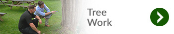 Tree Work Services